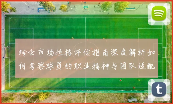 转会市场性格评估指南深度解析如何考察球员的职业精神与团队适配性
