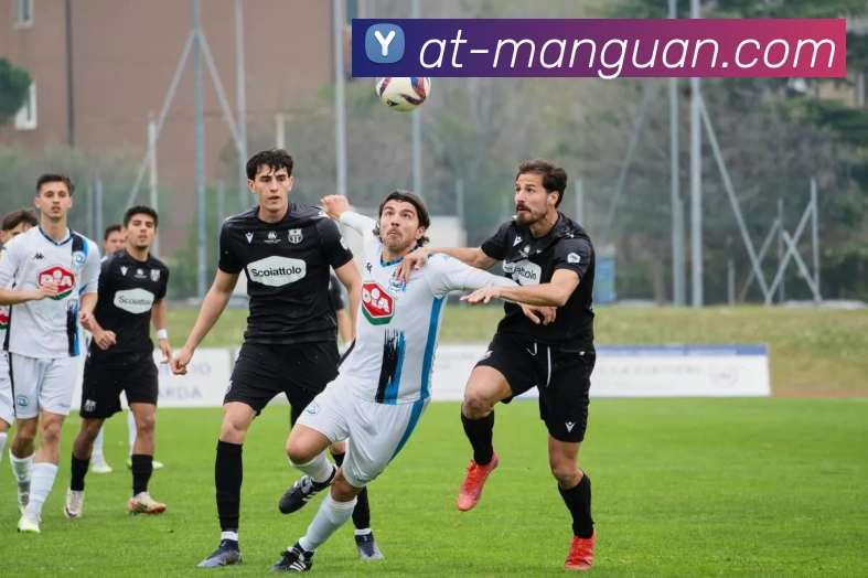 满冠体育全站App